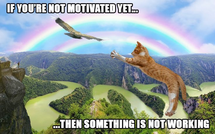 If you are not motivated yet...